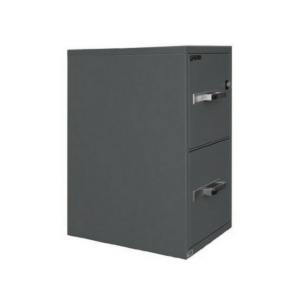 Gardex 2-Drawer Fire Resistant Vertical File Cabinet - 25" Deep