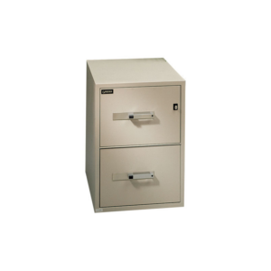 Gardex 2-Drawer Fire Resistant Vertical File Cabinet – 31″ Deep