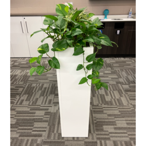 Office Planters for Indoors