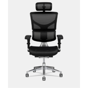X-Chair X2 K-Sport Mesh Office Chair